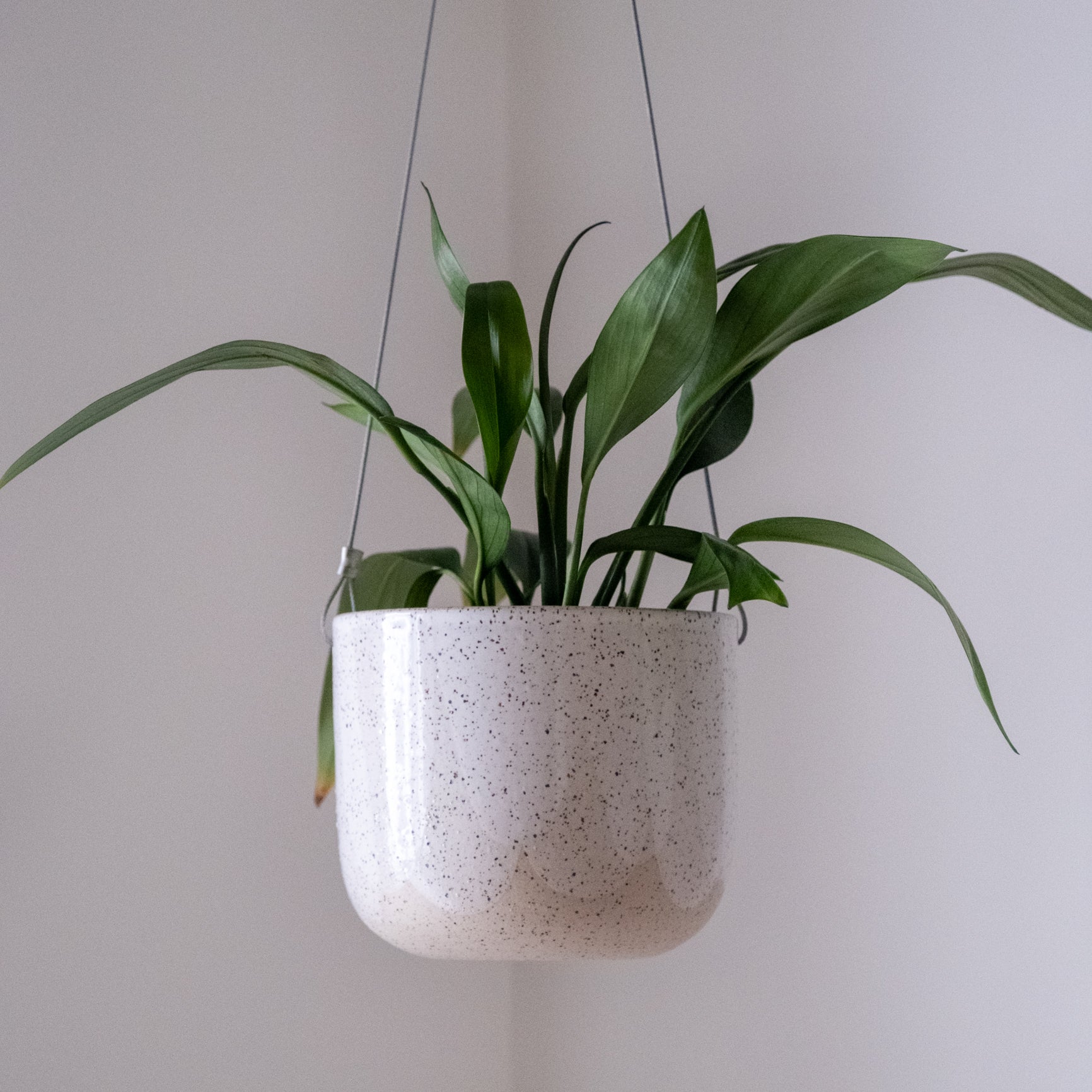 Hanging Planter