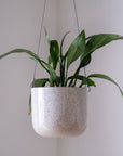 Hanging Planter
